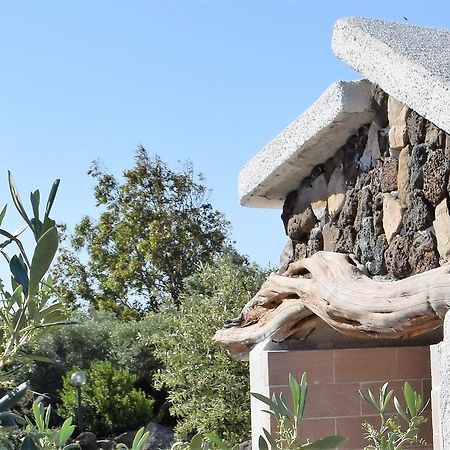 오로세 La Ginestra 게스트하우스 외부 사진